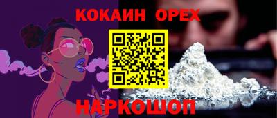 гидропоника Гатчина