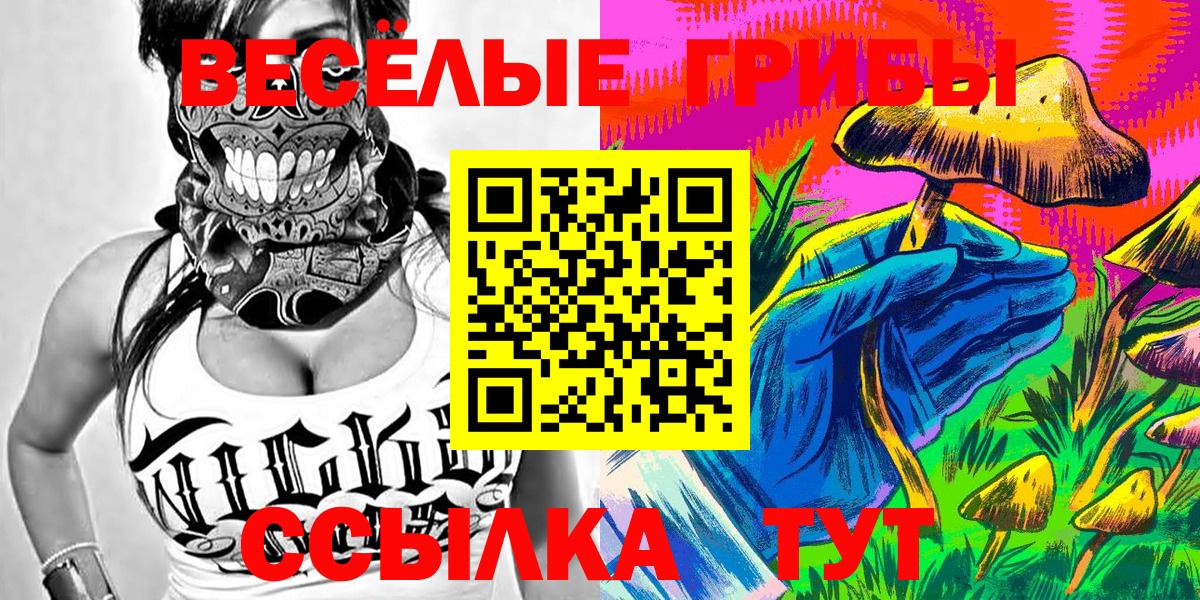 Галлюциногенные грибы GOLDEN TEACHER Малгобек